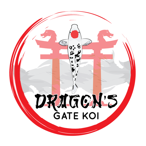 Dragons Gate Koi USA